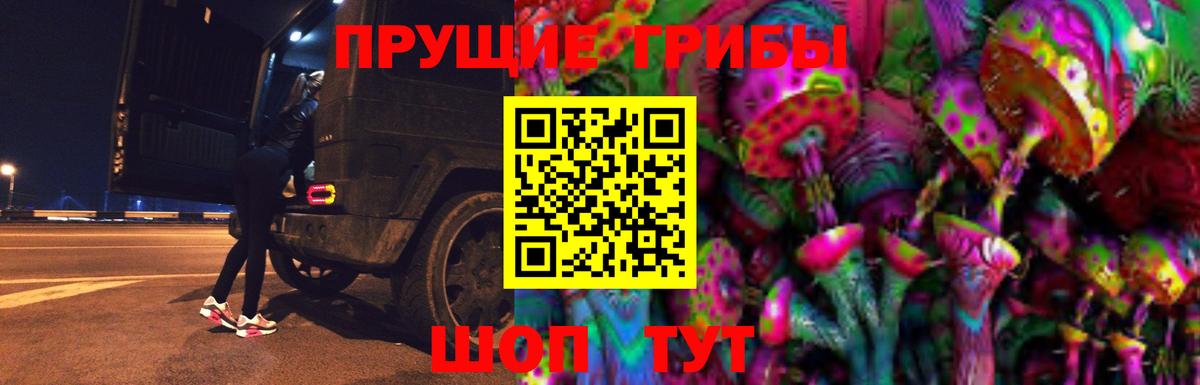 Псилоцибиновые грибы мицелий Таганрог